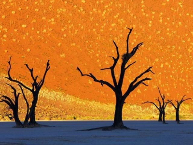 Điểm du lịch - 9 địa danh đẹp tuyệt trần bạn nên đến một lần trong đời