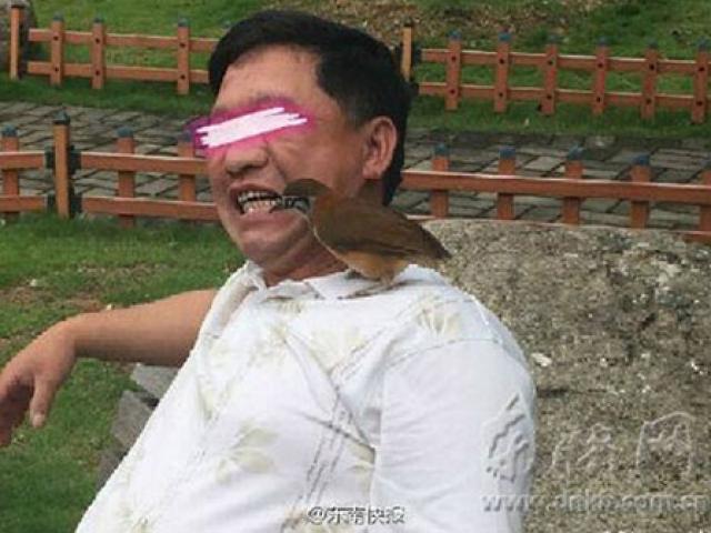 Tài chính - Bất động sản - Đại gia Trung Quốc: Dùng chim để... xỉa răng