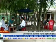 Tài chính - Bất động sản - Bản tin tài chính kinh doanh 27/07: Lừa đảo môi giới việc làm ở nông thôn