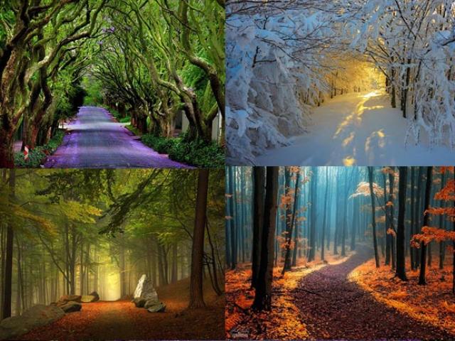 Du lịch - Những con đường "chạy thẳng" vào tim du khách