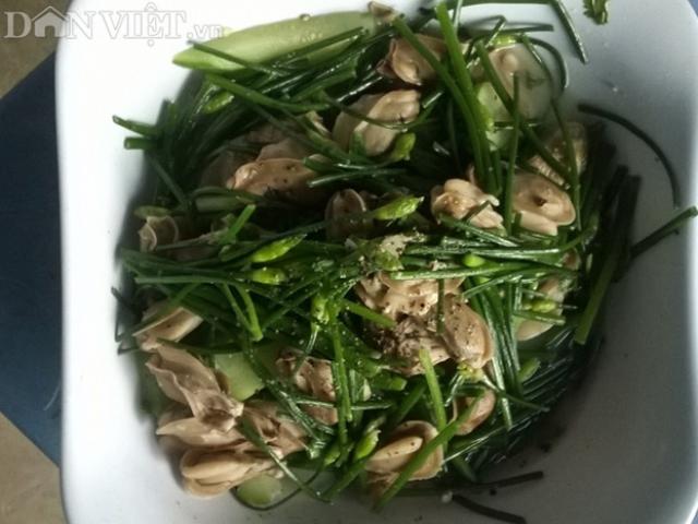 Đặc sản 3 miền - Chem chép xào hẹ, mau lẹ thử luôn