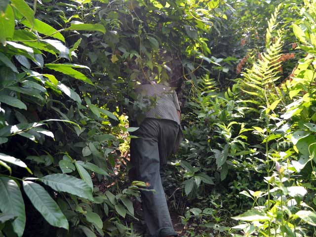 Tin tức Việt Nam - Kỳ lạ tên trộm "người rừng" khỏa thân đại náo làng bản