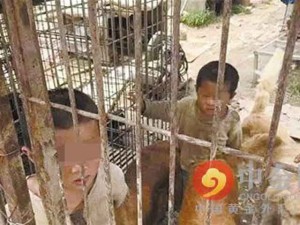 Thế giới - TQ: 2 anh em bị nhốt trong cũi, sống chung với chó