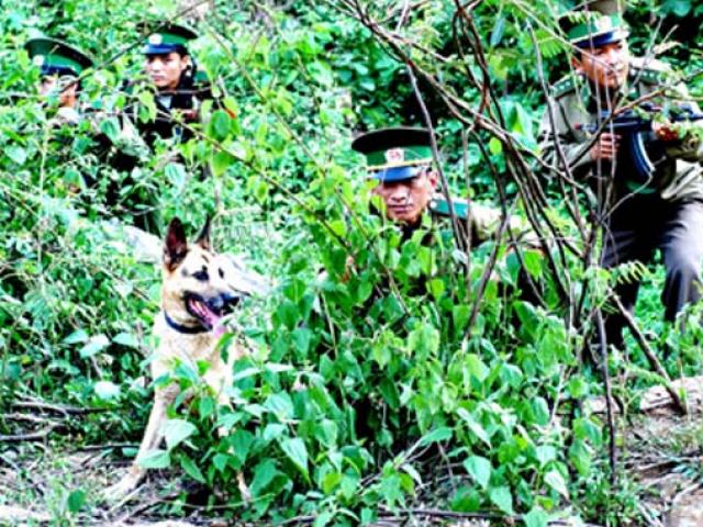 Pháp luật - Bí mật về tội phạm ma túy và nơi khởi nguồn tội ác