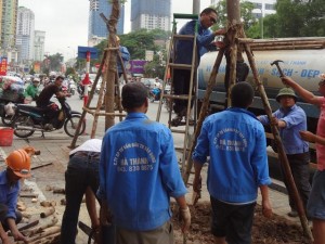 Tin tức Việt Nam - Chùm ảnh hàng cây lát hoa mới trồng trên đường Nguyễn Chí Thanh