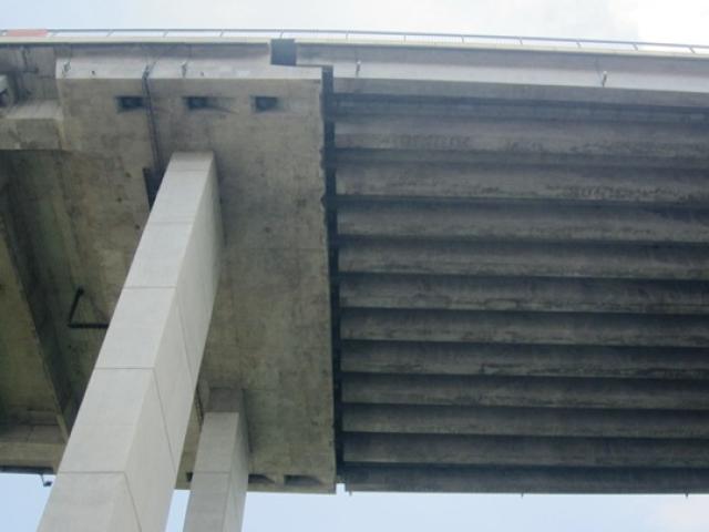 Tin tức trong ngày - Cây cầu biểu tượng của TPHCM sắp sập?