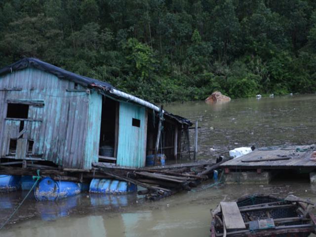 Tin tức trong ngày - Thủ tướng: Không để dân đói sau mưa, lũ