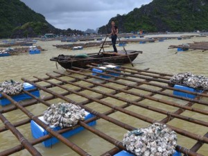 Tin tức trong ngày - Quảng Ninh: Nước mắt ngư phủ hòa vào biển cả