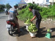 Thị trường - Tiêu dùng - Ổi lê miền Tây &quot;hồi sinh&quot;, tăng giá gấp 10 lần