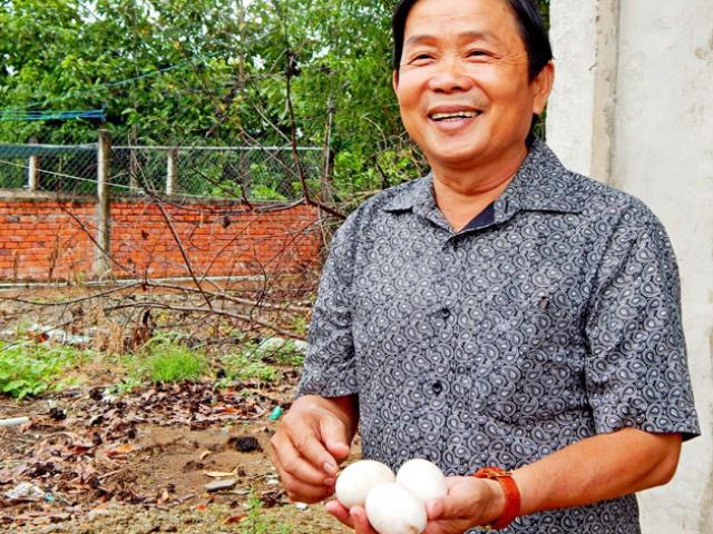 Tài chính - Bất động sản - Nghe "ông trùm" cá sấu kể chuyện làm giàu