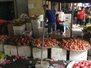 Giá cả - Lê, táo, thanh long: Cứ ra khỏi thùng là thành hàng “xịn”!