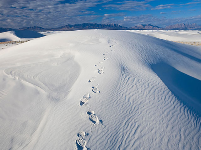 Tin tức trong ngày - Mỹ: Nhường nước cho con, bố mẹ chết khát trên sa mạc