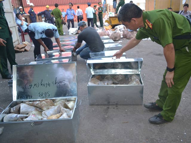 Tin tức trong ngày - Giấu 1 tấn sừng tê giác, ngà voi trong… "đá" nhập khẩu