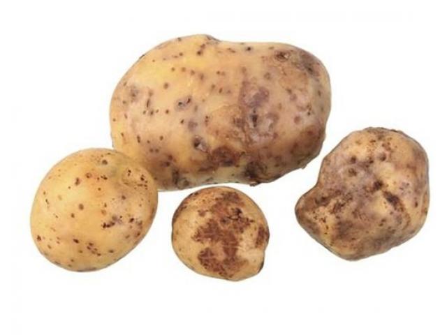 Thị trường - Tiêu dùng - Những loại rau, củ đắt nhất thế giới được đại gia săn lùng