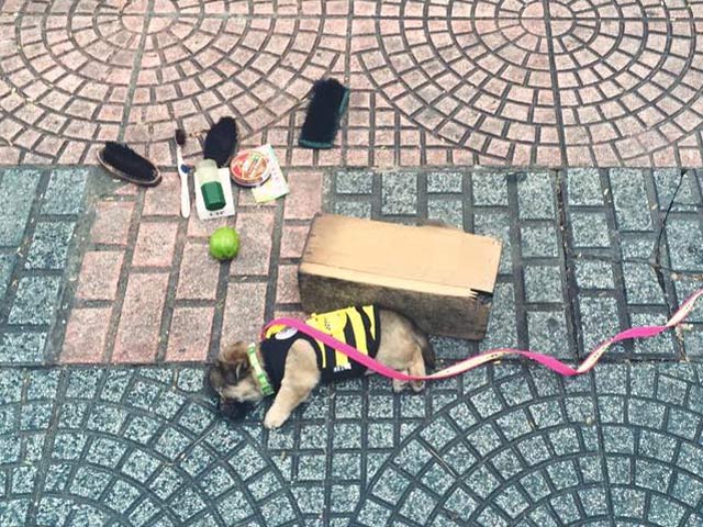 Giới trẻ - Anh đánh giày câm và câu chuyện lòng tốt