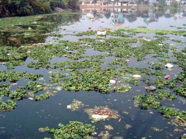 Pháp luật - Phát hiện sọ người đang phân hủy trong túi nilon