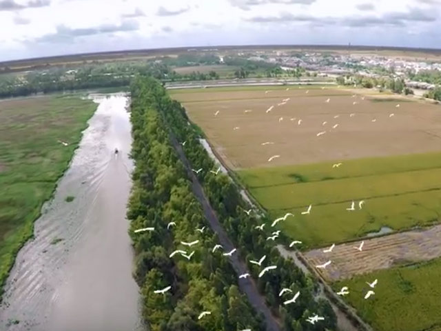 Du lịch - Thiên nhiên kỳ thú như tác phẩm điện ảnh của Tràm Chim