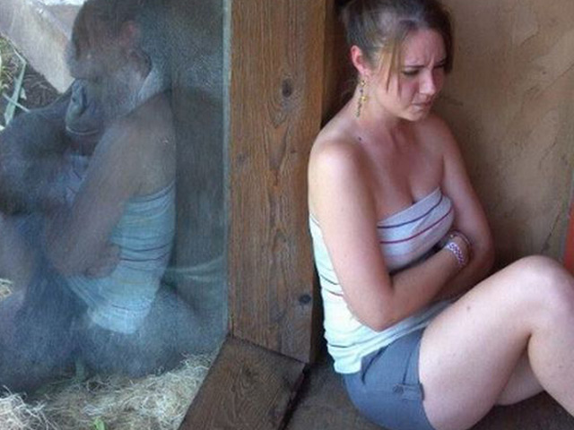 Cười 24h - "Chộp" những khoảnh khắc hài hước ở khắp mọi nơi