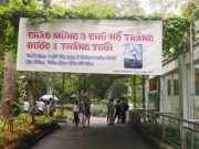 Tin tức trong ngày - Không có chuyện di dời Thảo Cầm Viên Sài Gòn