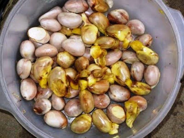 Sức khỏe đời sống - Khốn đốn vì công dụng của hạt mít!