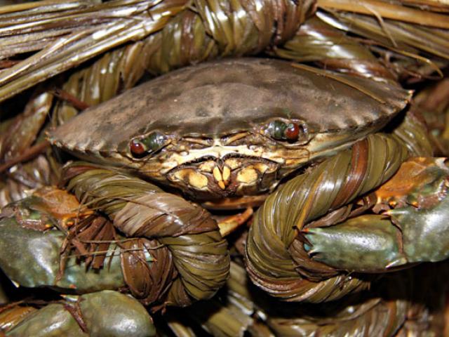 Thị trường - Tiêu dùng - Cua biển tụt nửa giá: Sao không mang ra Hà Nội bán?!