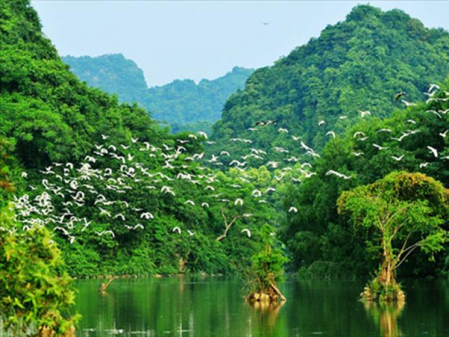 Du lịch - Khám phá thiên đường du lịch Thung Nham