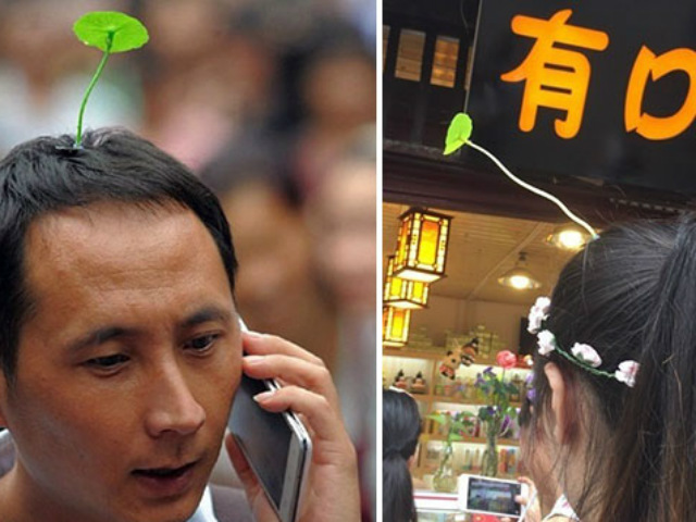 Phi thường - kỳ quặc - Thích thú với trào lưu “trồng cây” trên đầu ở Trung Quốc