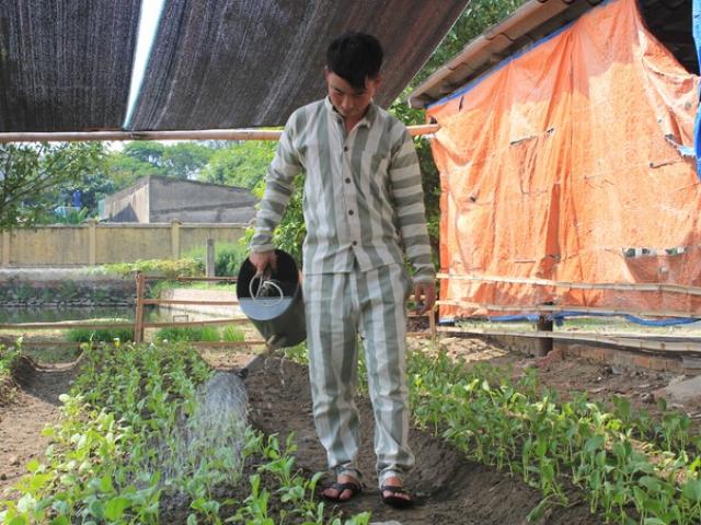 Pháp luật - Quản giáo cho phạm nhân vay tiền để đủ điều kiện đặc xá