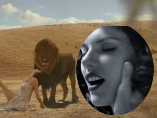 Ca nhạc - MTV - Taylor Swift khóa môi sư tử châu Phi trong MV mới