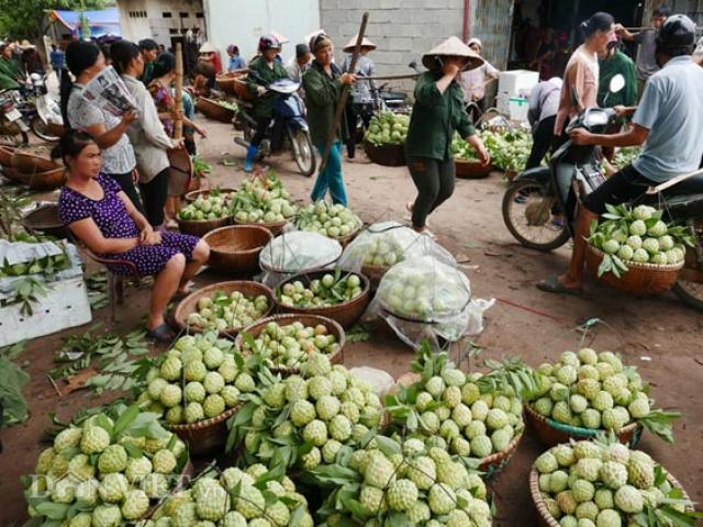 Giá cả hàng hóa - Tấp nập chợ na lớn nhất miền Bắc dài cả cây số