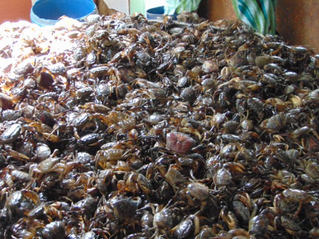 Thị trường - Tiêu dùng - Đặc sản cua đồng mùa nước nổi giá cao vẫn "cháy hàng"