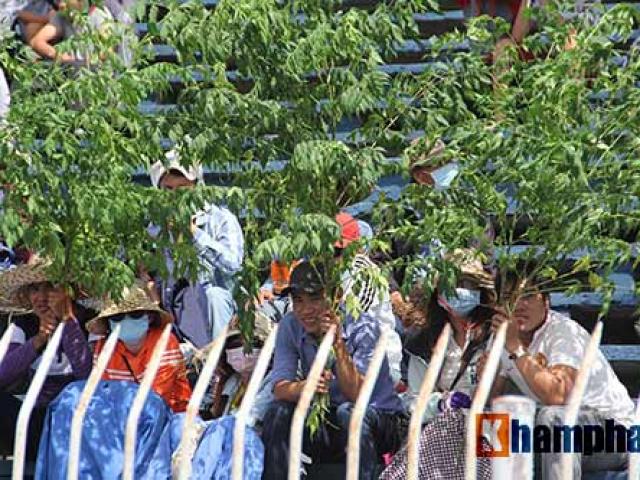 Thể thao - Khán giả Cần Thơ xem đua xe kiểu "độc, lạ"