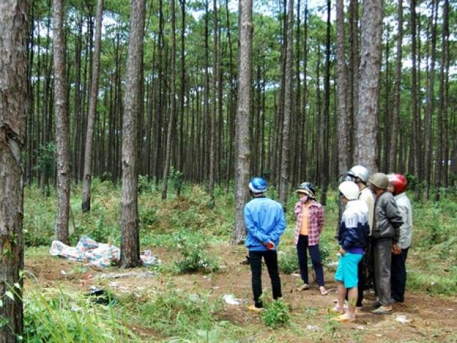 Pháp luật - Dựng lại hiện trường vụ sát hại, chôn xác tài xế taxi