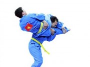 Thể thao - Vovinam Võ Việt ra thế giới