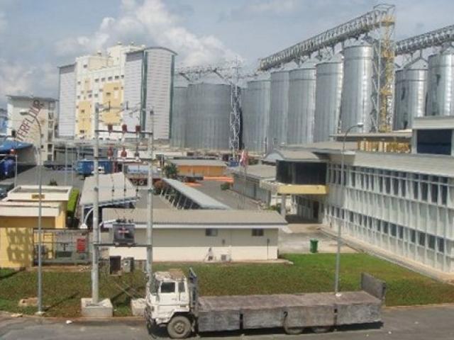 Tài chính - Bất động sản - Tỉ phú Indonesia "thâu tóm" nhà máy chế biến bột mỳ ở VN