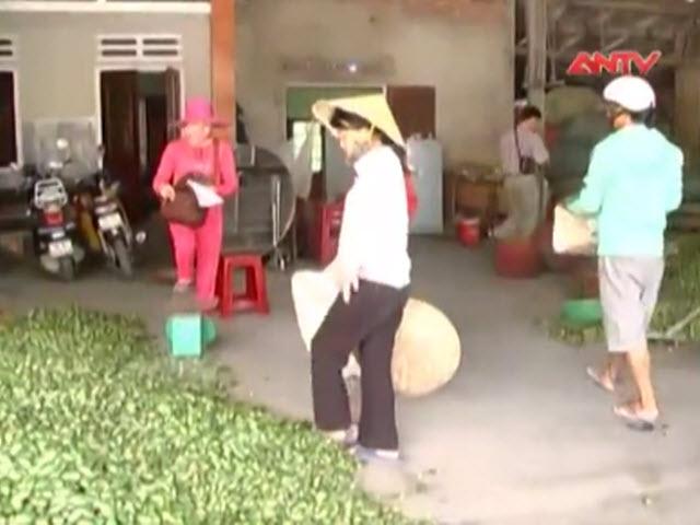 Thị trường - Tiêu dùng - Thương lái lại lùng sục cau non bán sang Trung Quốc