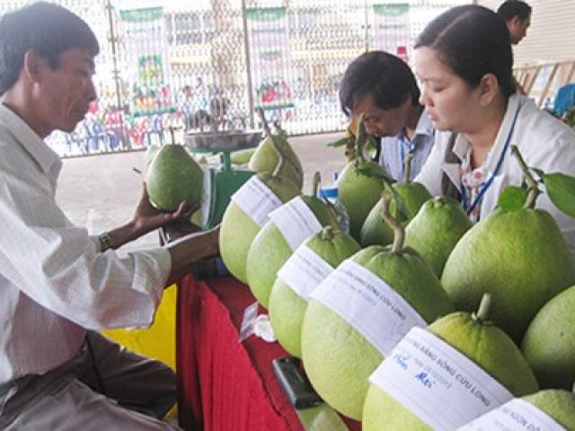Tài chính - Bất động sản - Đề nghị xóa chục ngàn tỉ đồng thuế