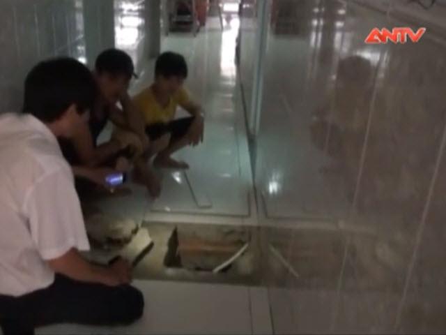 Pháp luật - Khởi tố nữ dược sĩ đổ thuốc sâu xuống giếng hàng xóm