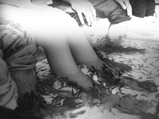 Sức khỏe đời sống - Massage chân bằng cá có nguy cơ bị nhiễm HIV