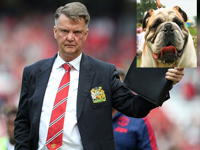 Bóng đá - Khuôn mặt "ghê gớm" của Van Gaal gây khiếp sợ