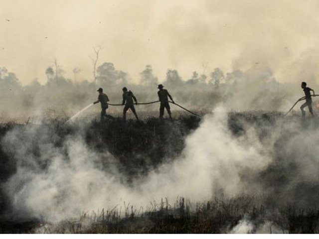 Tin tức trong ngày - Cháy rừng ở Indonesia khiến hàng nghìn người Malaysia, Singapore ngã bệnh