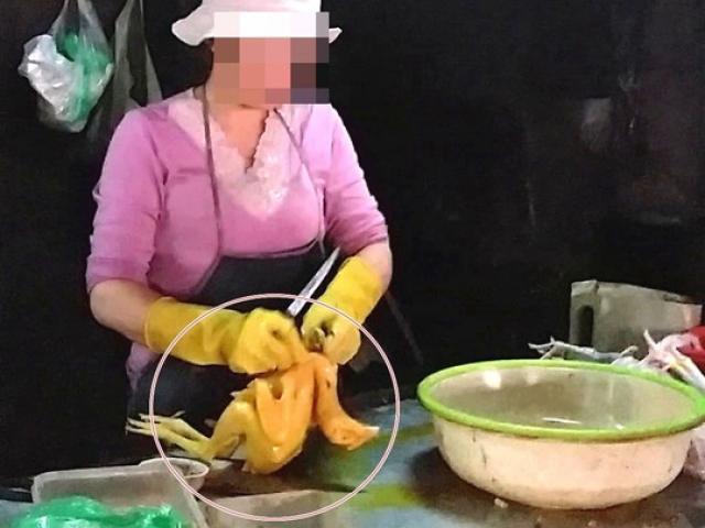 Tin tức trong ngày - Làm “đẹp” gà, vịt bằng hóa chất