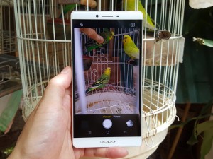 Dế sắp ra lò - Cận cảnh Oppo R7 Plus mới lên kệ