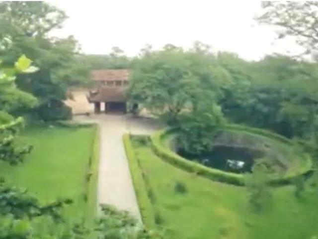 Du lịch - Đặc sản bưởi tiến vua làng Luận Văn, Thanh Hóa