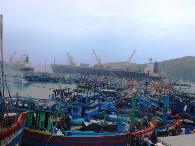 Tin tức trong ngày - Bình Định: Cứu 3 ngư dân rơi xuống biển, lênh đênh nhiều giờ