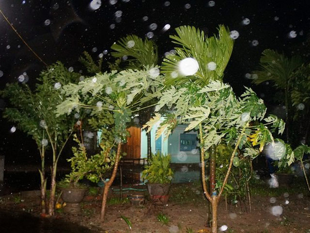 Tin tức trong ngày - Bão số 3 suy yếu thành áp thấp nhiệt đới