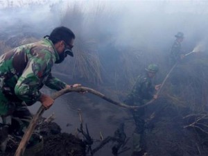 Tin tức trong ngày - El Nino mạnh nhất từ trước đến nay