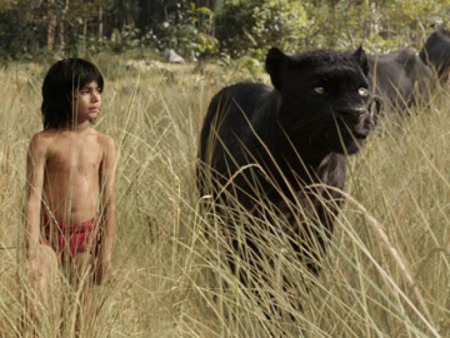 Hậu trường phim - Video tuyệt đẹp của "Cậu bé rừng xanh" bản người thật