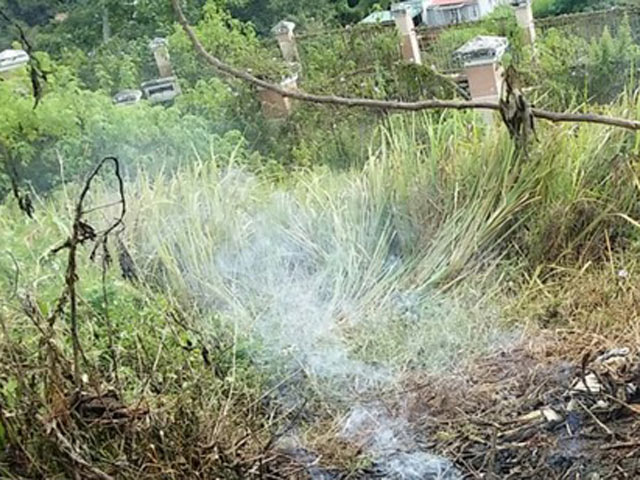 Tin tức trong ngày - Thi thể cháy đen bên bụi hoa dã quỳ