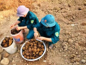 Tin tức trong ngày - Hàng chục quả bom bi “lộ thiên” sau trận mưa lớn